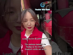 Διακοσμητικό Πλέγμα Σύρματος Τριγωνικό Πάνελ Φράχτη Υψηλής Ασφάλειας Προσαρμοσμένο Χρώμα