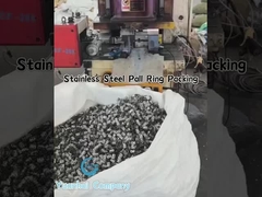 Μεταλλικά δακτυλίδια Pall από ανοξείδωτο χάλυβα για απορρόφηση αερίων και απόσταξη