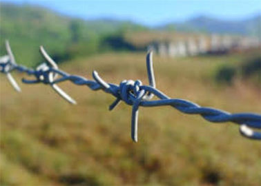 ety Iron Stretching Barbed Wire Fence For Goats Double / Single Twisted BWG 12#
