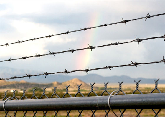 Bwg 12 X 14 Hot Dip Galvanized Barbed Wire Double Strand  Protection